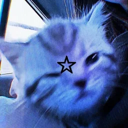 xwqx