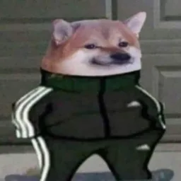 iJive
